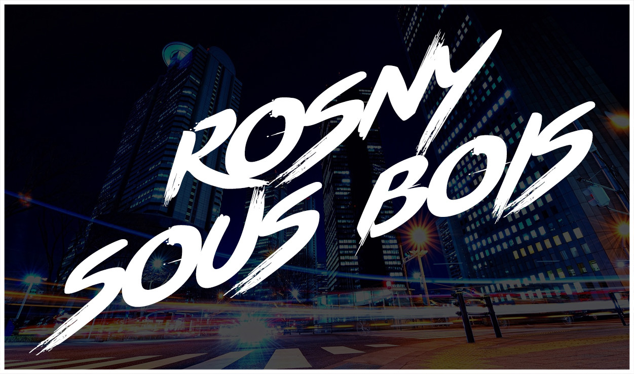 Livraison Nuit Rosny sous Bois